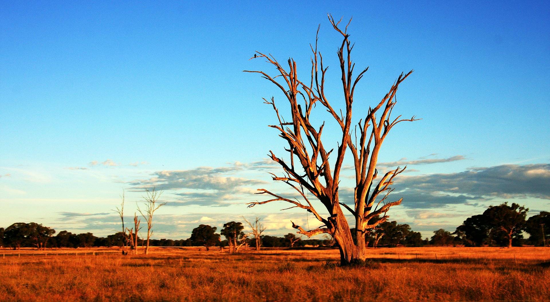 original pixabay australien-outback 2