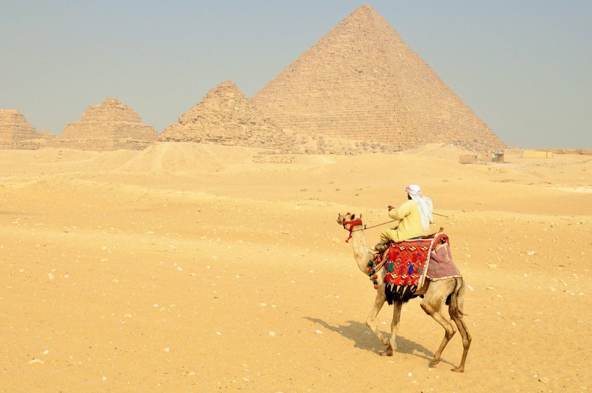 original pixabay aegypten-kamele