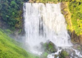 Neuseeland Wasserfall