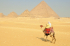 original pixabay aegypten-kamele