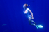 original pixabay schnorcheln-malediven